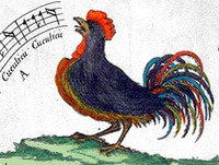 Logo de Radio Rapsoida. El canto del gallo.