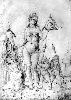 Venus Armada.