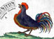 Logo de Radio Rapsoida. El canto del gallo.